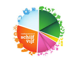 Lezing Schijf van Vijf